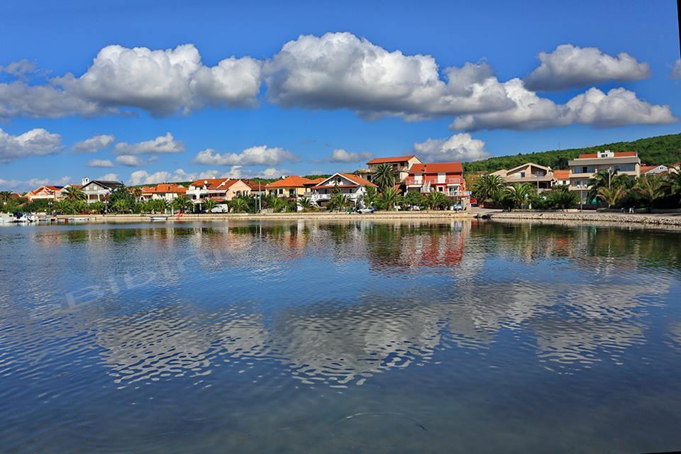 Igor * Bibinje